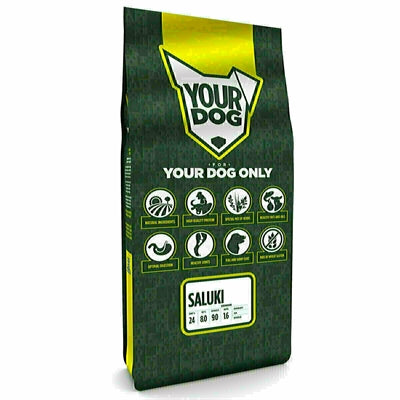 Yourdog Saluki Senior